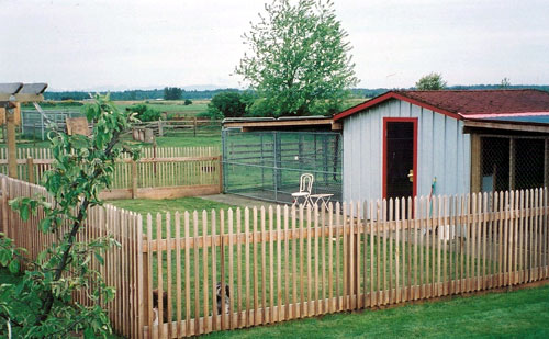 Kennel for special needs or timid dogs